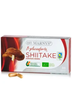 Shiitake (Lentinula edodes) – Antibacterian, Antioxidant, Imunitate, Energie – Produs Bio, 100% Natural – 30 Capsule
