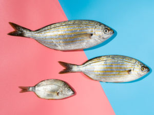 contaminarea cu mercur